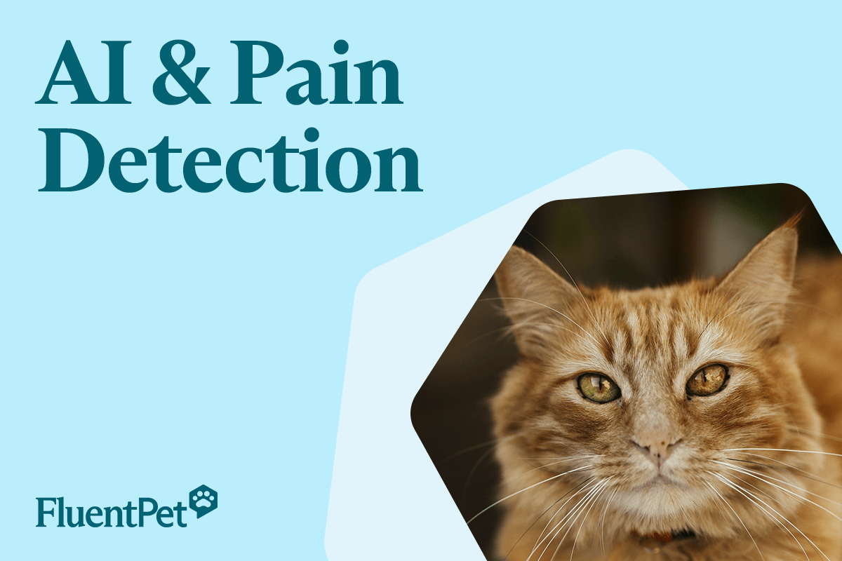 AI and Pain Detection