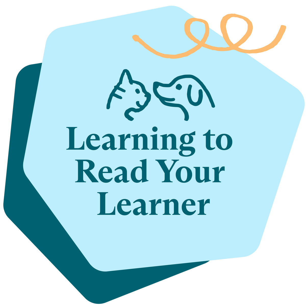 Learn to Read Your Learner (Full)