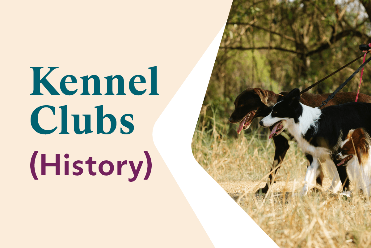 A Brief History of Kennel Clubs