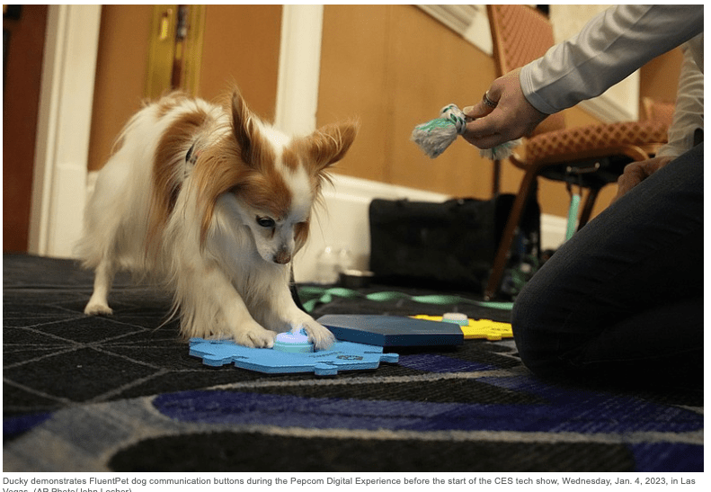 FluentPet Connect Wows at CES Launch