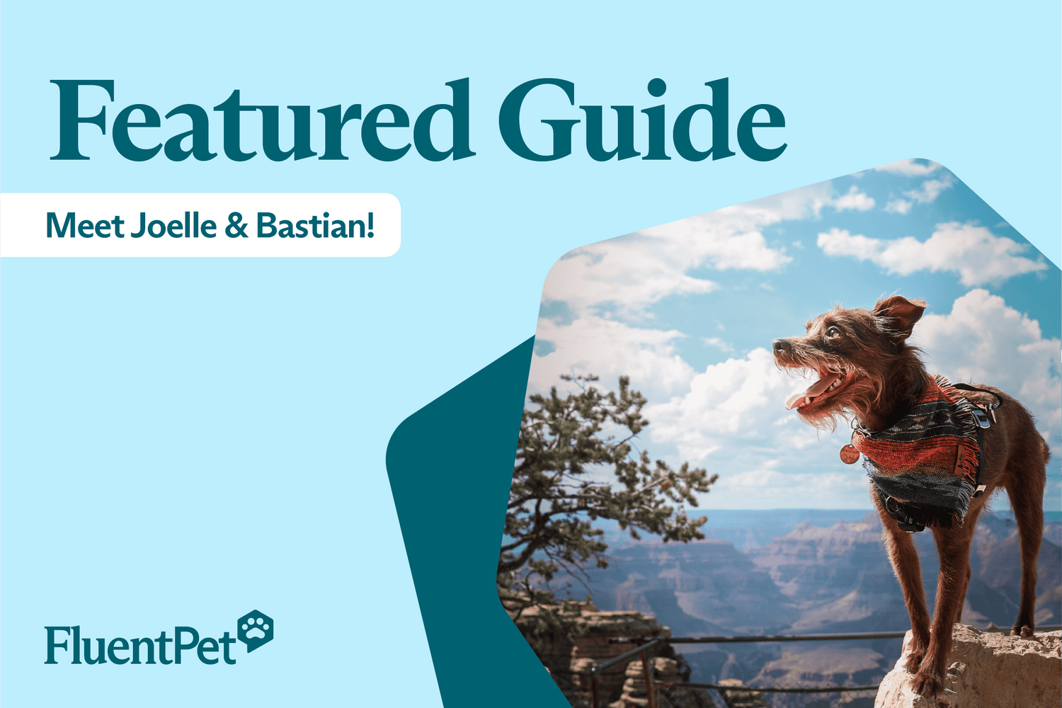 Meet Joelle & Bastian: How a Hurricane Rescue Found His Voice