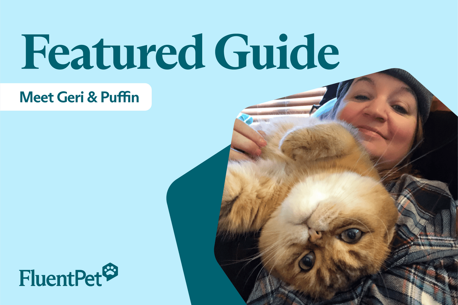Meet Geri and Puffin: The Scottish Fold With a 90-Button Vocabulary