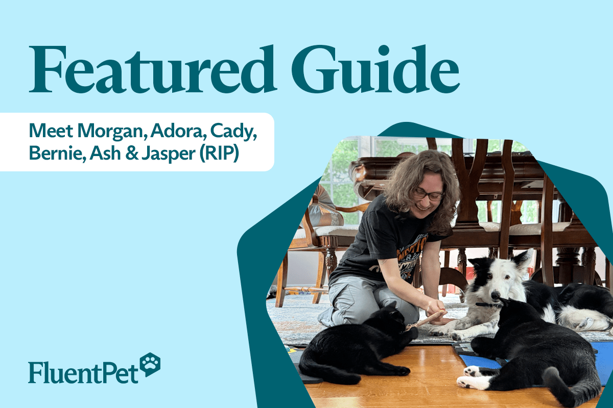 From Border Collie to Blind Cats: Morgan Krug’s Multispecies Button Journey