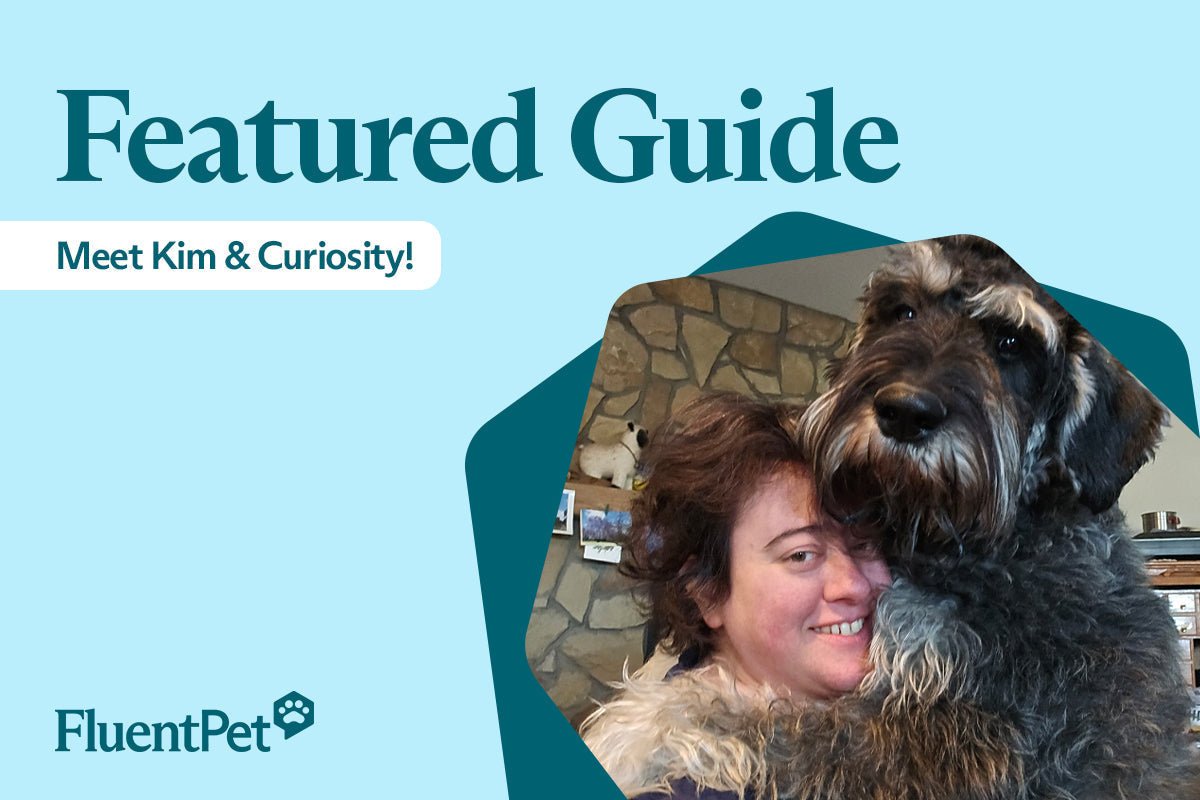 Meet Kim and Curiosity: A Button Journey Full of Heart and Humor!