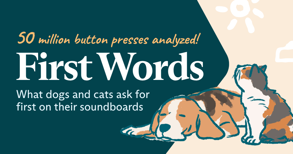 First Words / 50 Million Buttons Release