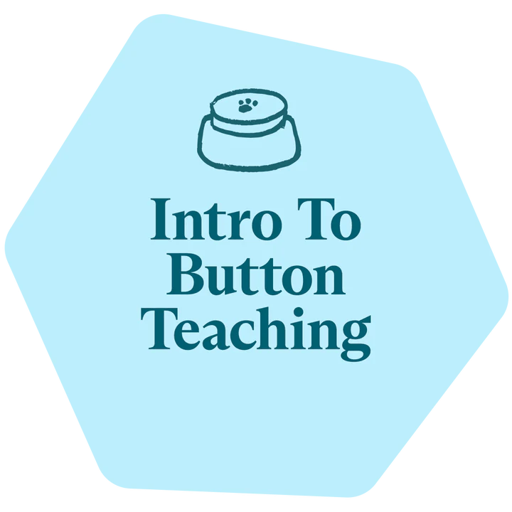Intro to Button Teaching