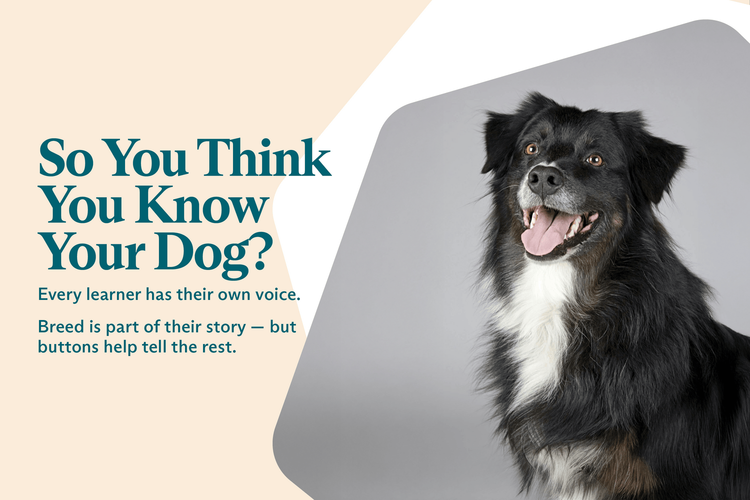 So you think you know your dog?