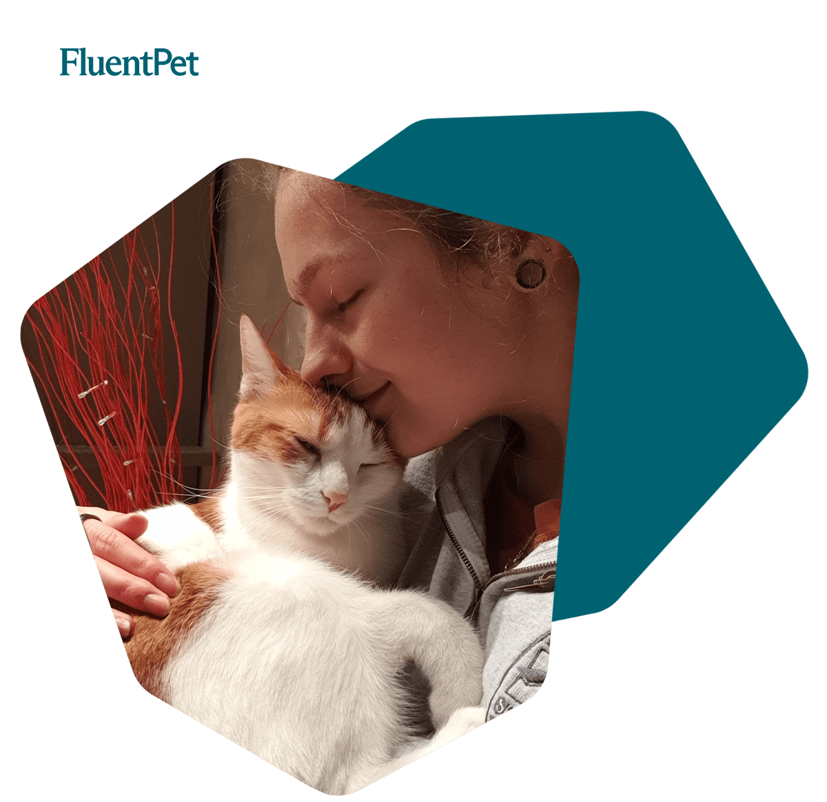Featuring Flint, the French Feline @flintcantalk