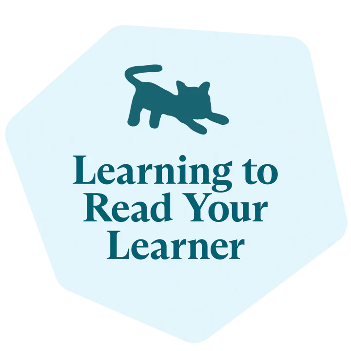 Learn to Read Your Learner