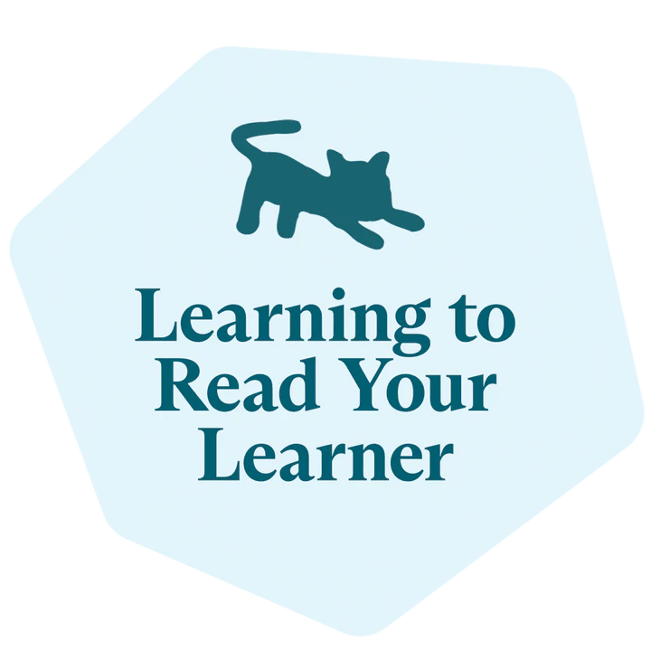 Learn to Read Your Learner