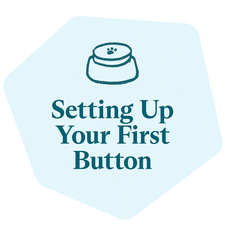 Setting Up Your First Button