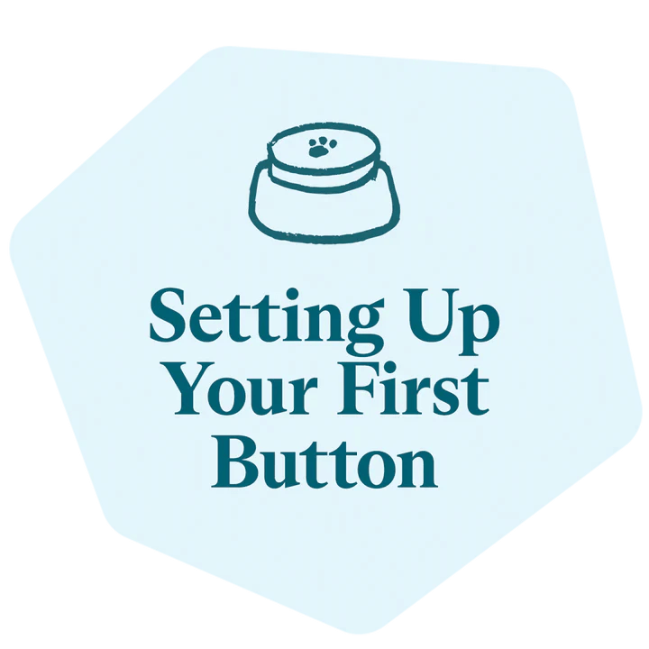Setting Up Your First Button