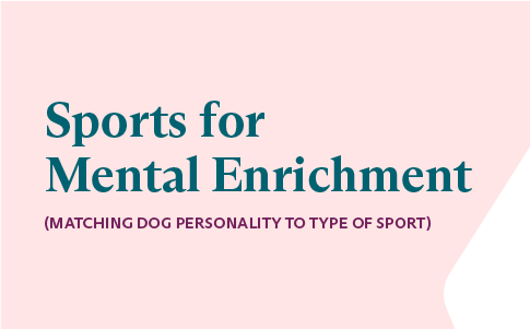 Sports for Mental Enrichment