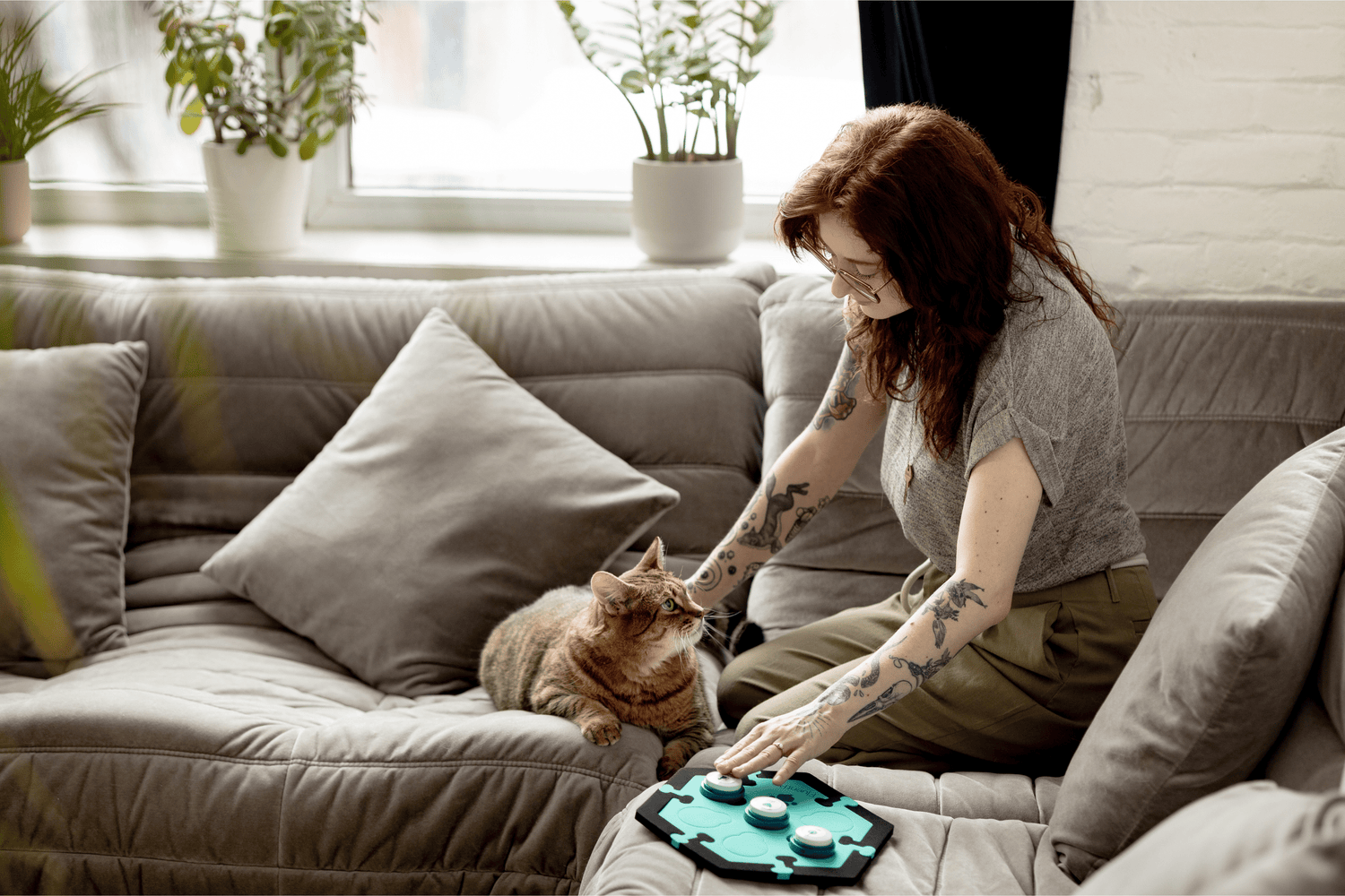 The New Realm of Reward-Based Training