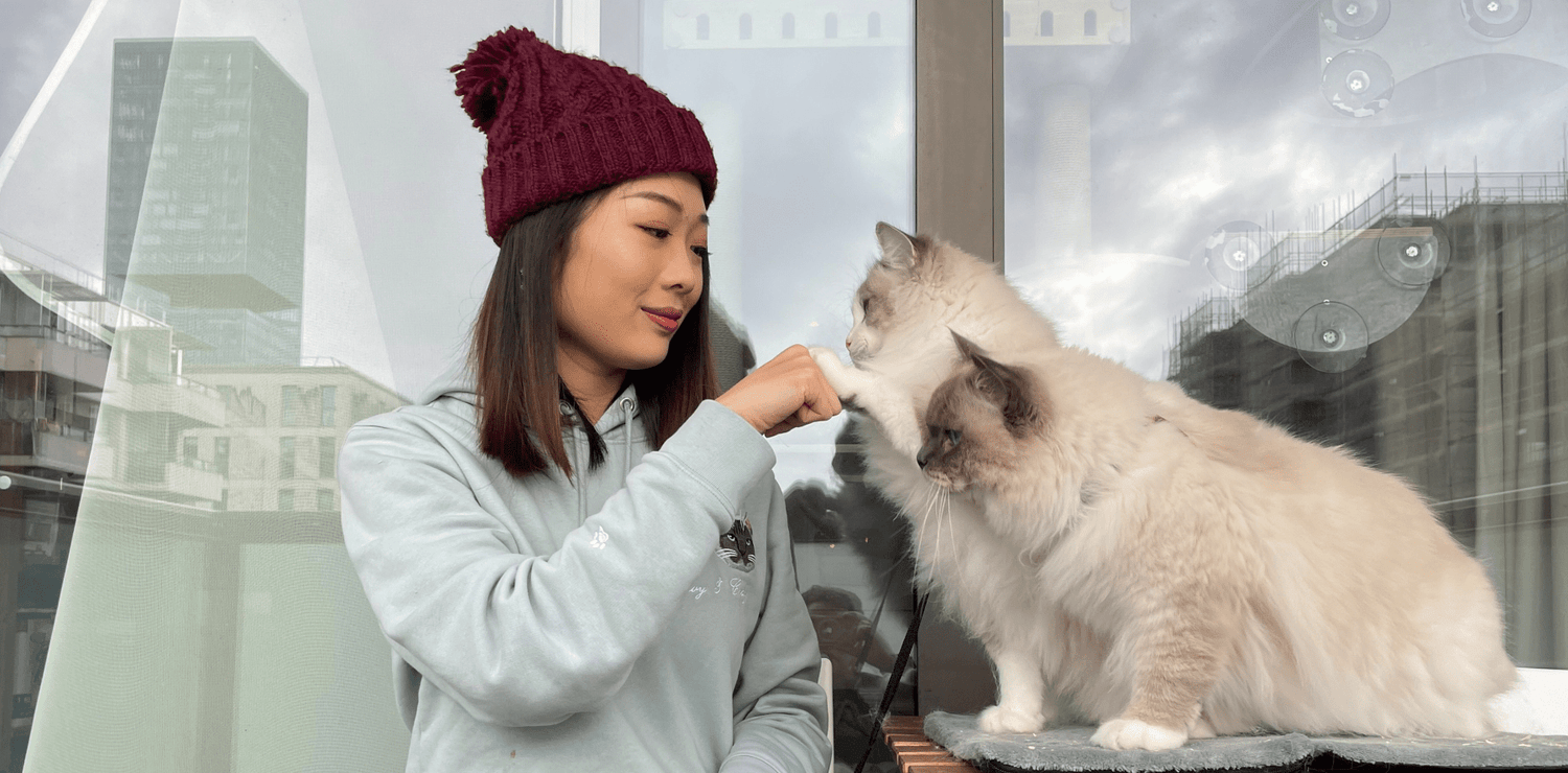 All About Snowy and Cody