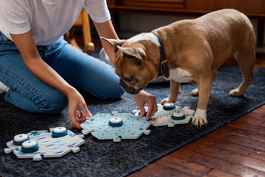 Dogs can distinguish between colors, and they can see more than just black and white.