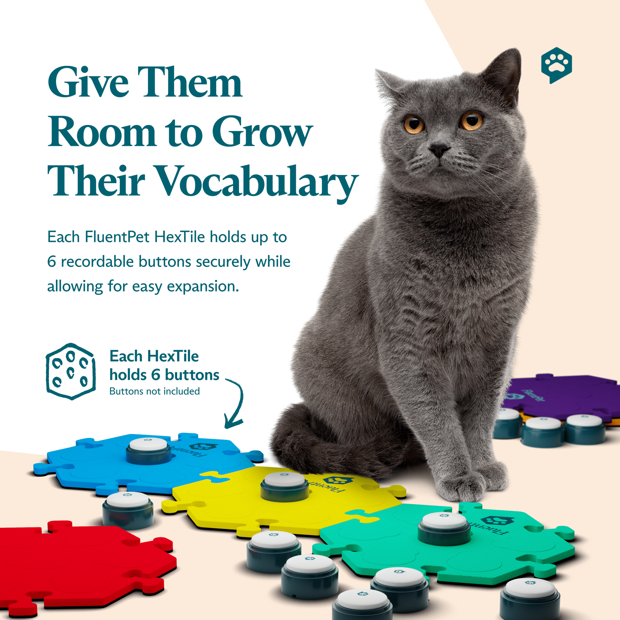 Kit de vocabulario básico clásico