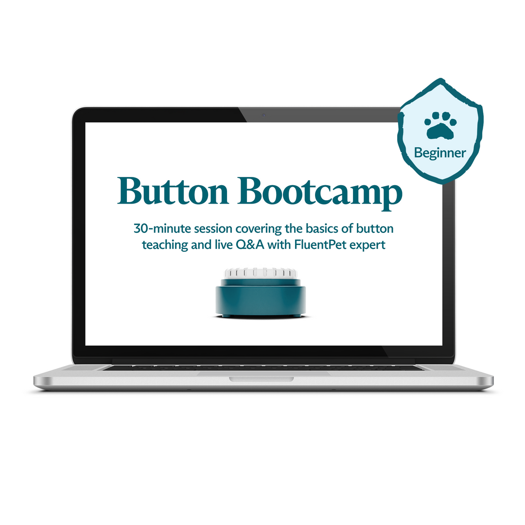 Button Bootcamp