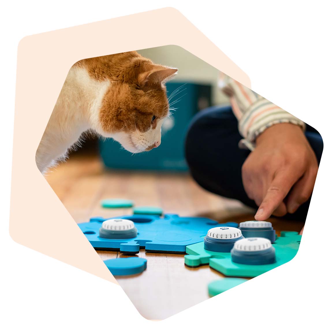 By assigning specific colors to different concepts, it reduces the cognitive load on learners. This allows them to focus more on the content of their communication, rather than the complexity of language construction. Simplifying the process of finding and using words can be especially beneficial for individuals with cognitive impairments or language processing difficulties.