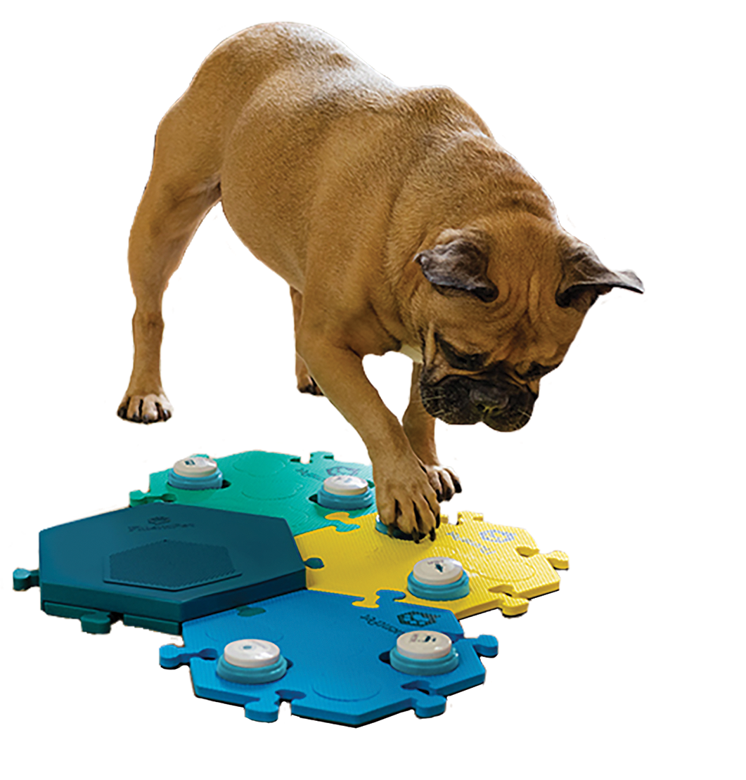 A dog pressing a button on a FluentPet Connect Get Started Kit