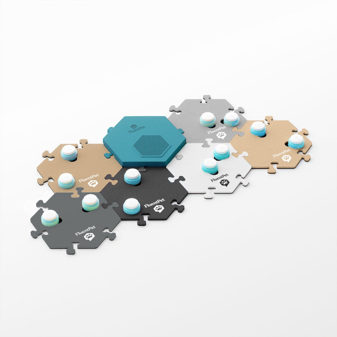 Connect Key Vocab Kit in neutral colors.