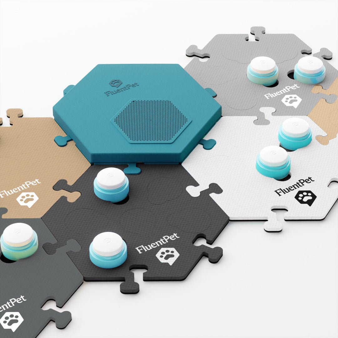 Connect Key Vocab Kit in neutral colors.