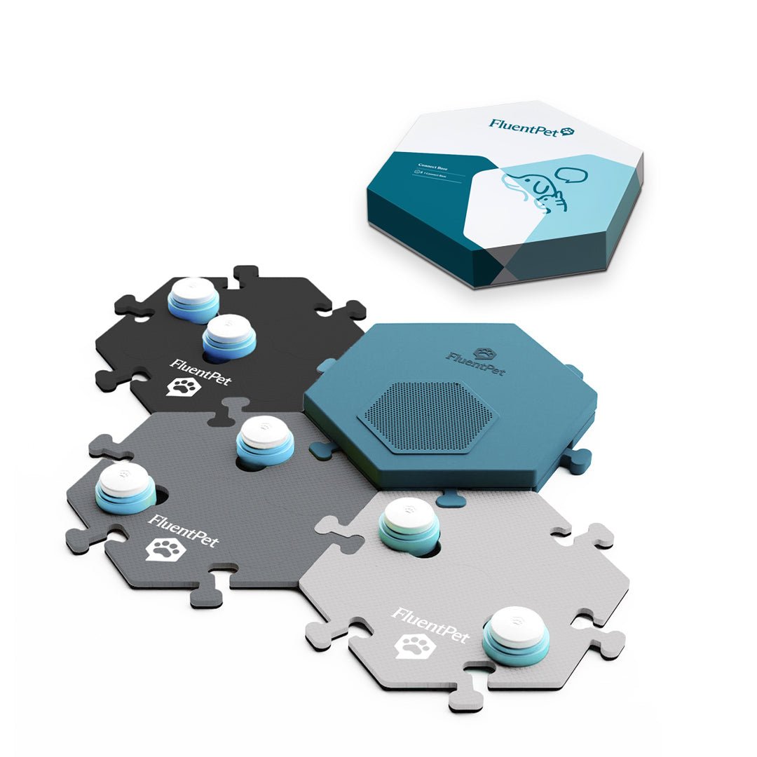 FluentPet Connect Get Started Kit in grey colors.