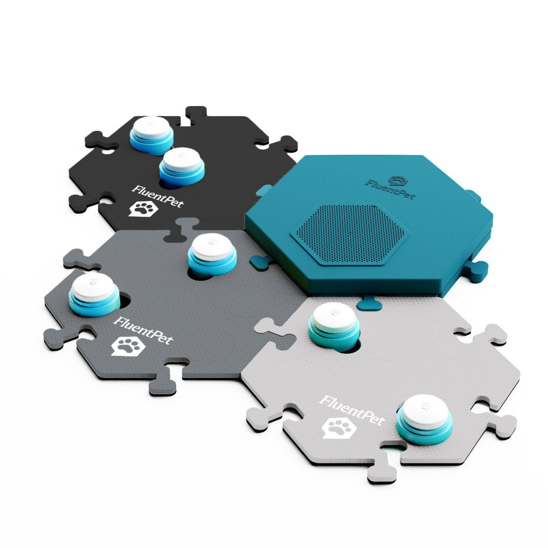 Connect Get Started Kit in grey colors.