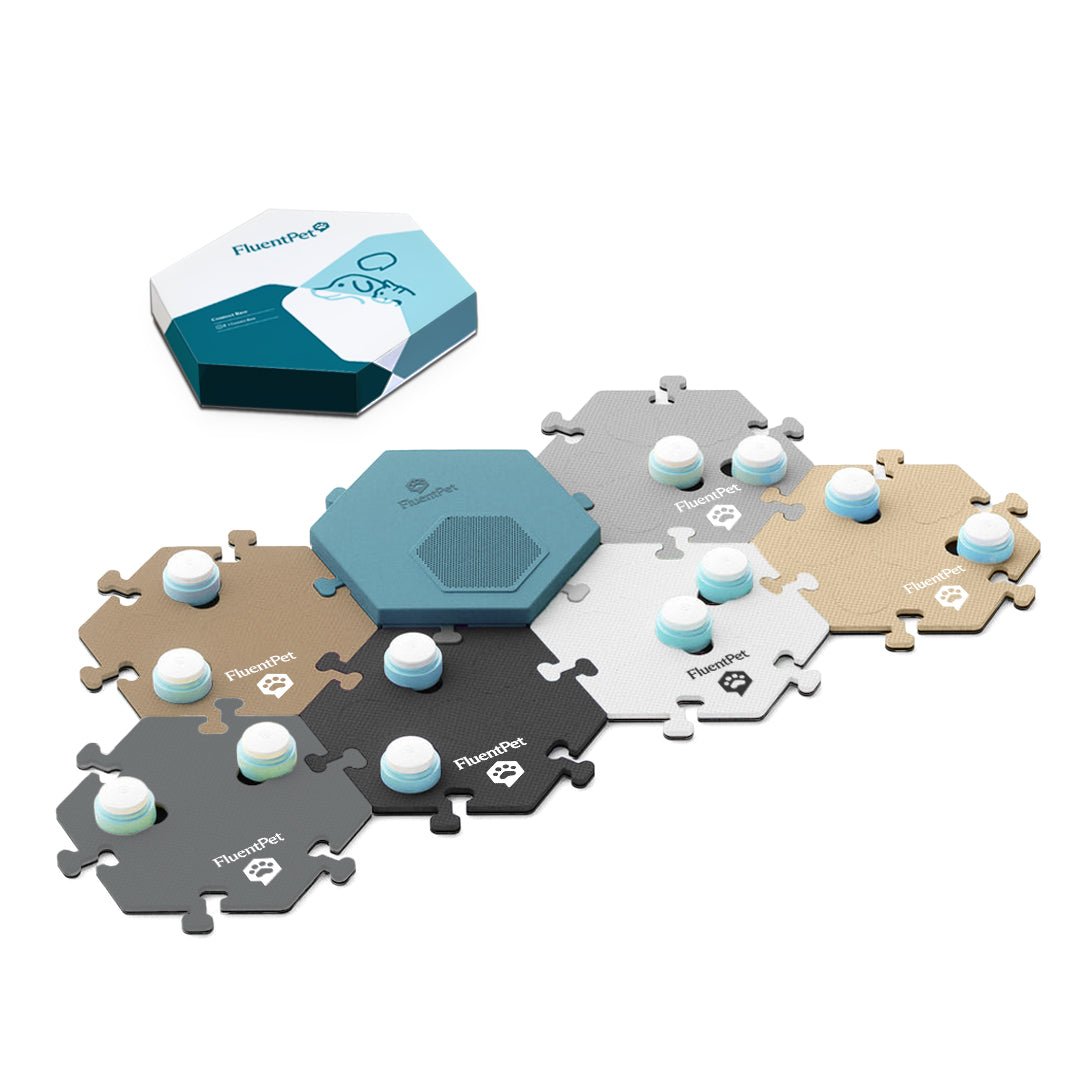 FluentPet Connect Key Vocab Kit in neutral colors.
