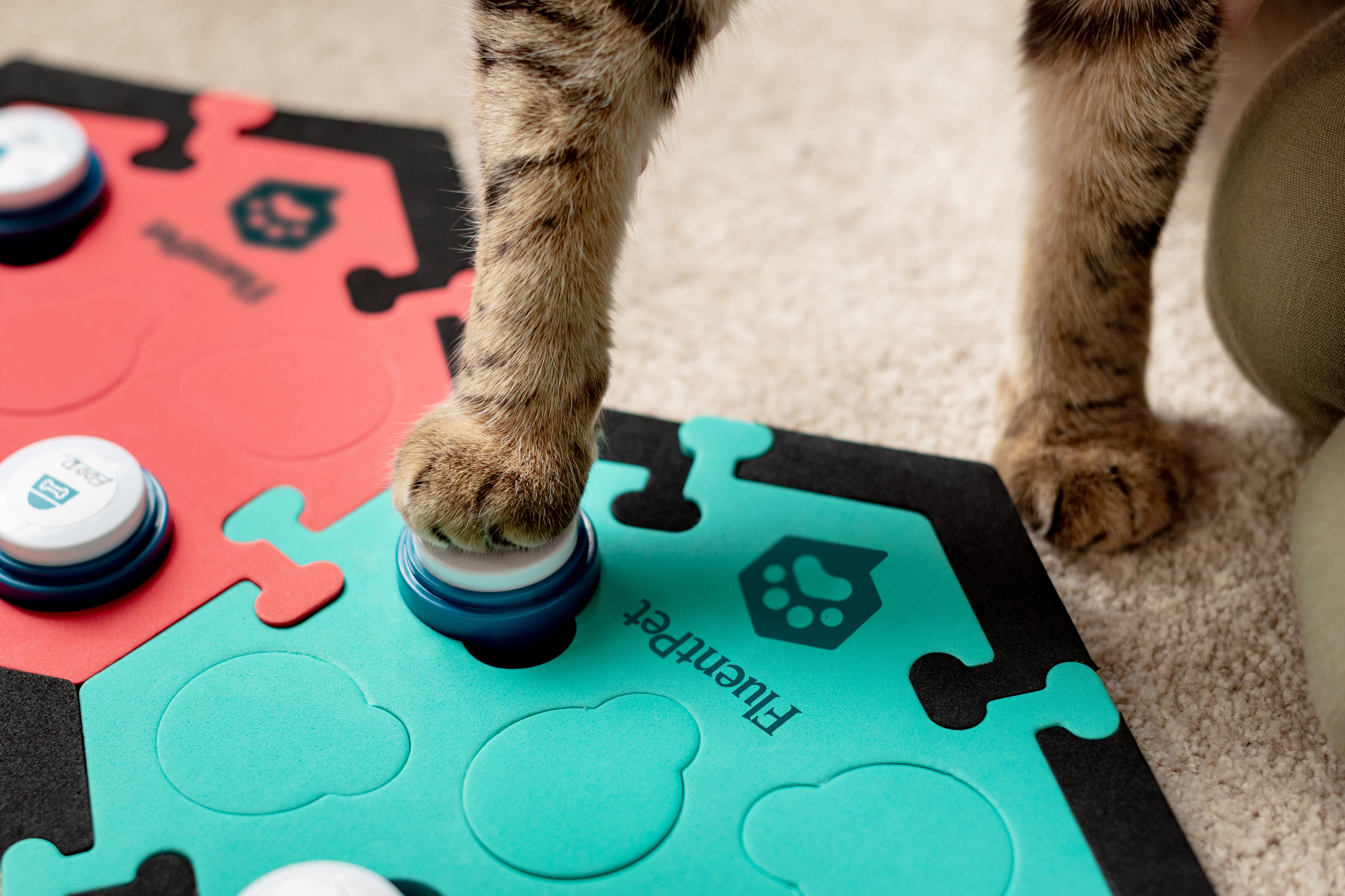 Cat Paw pressing a FluentPet Button