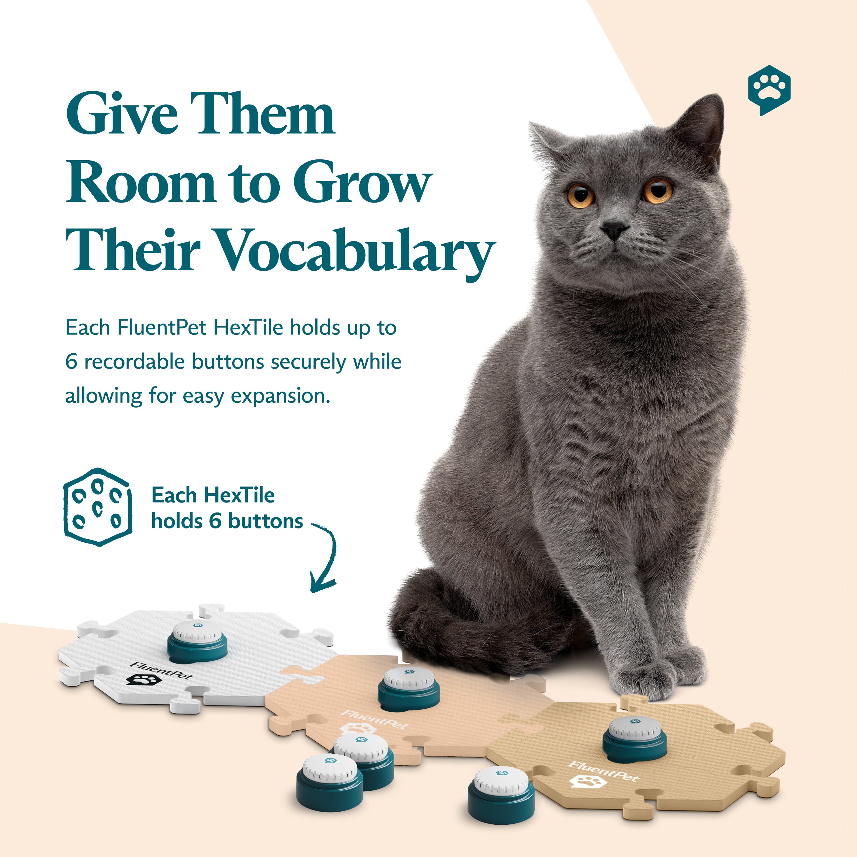 They Can Talk Kit - Neutral Colors