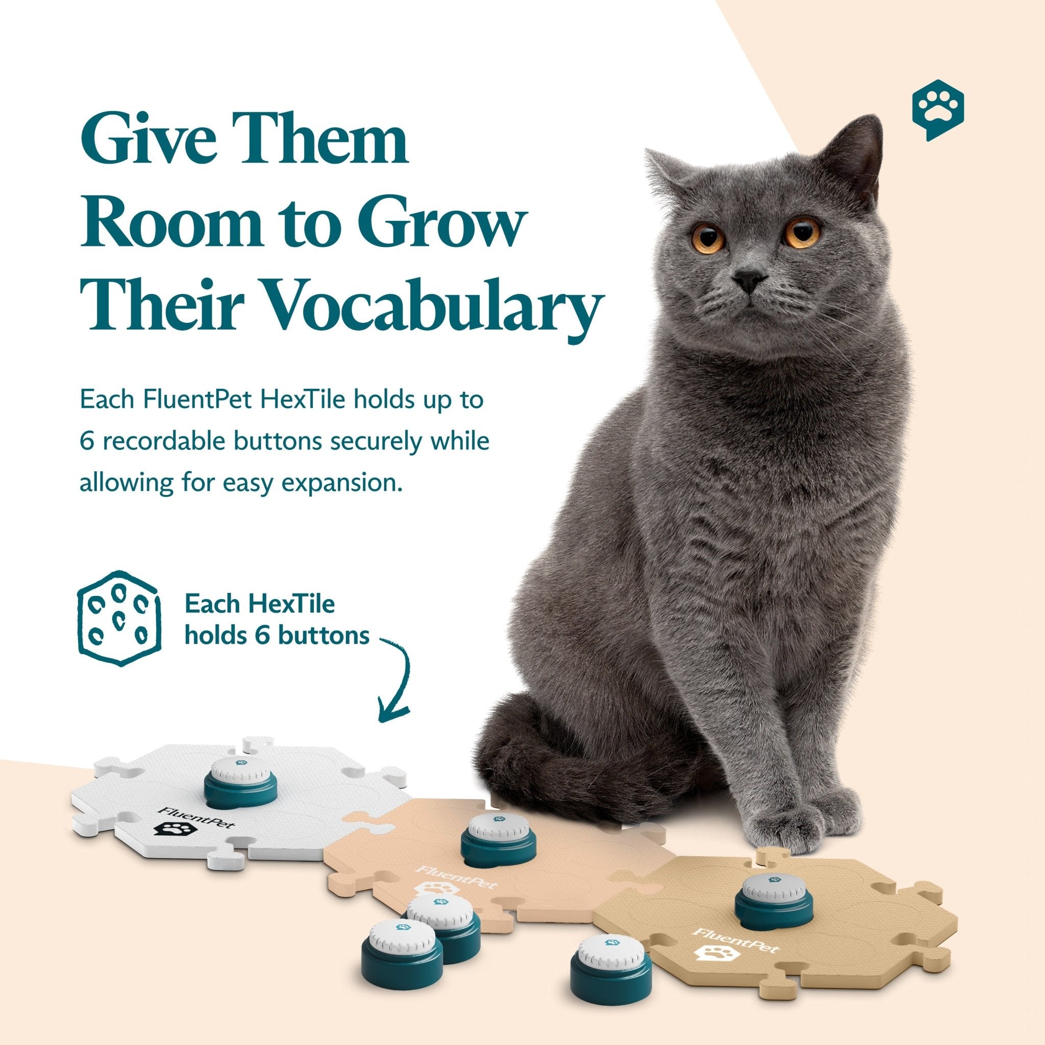 Gray cat sitting beside FluentPet HexTiles in white, dark beige and light beige, each holding recordable Speak Up! buttons from the FluentPet Speak Up! Get Started Kit. Text reads “Give Them Room to Grow Their Vocabulary".