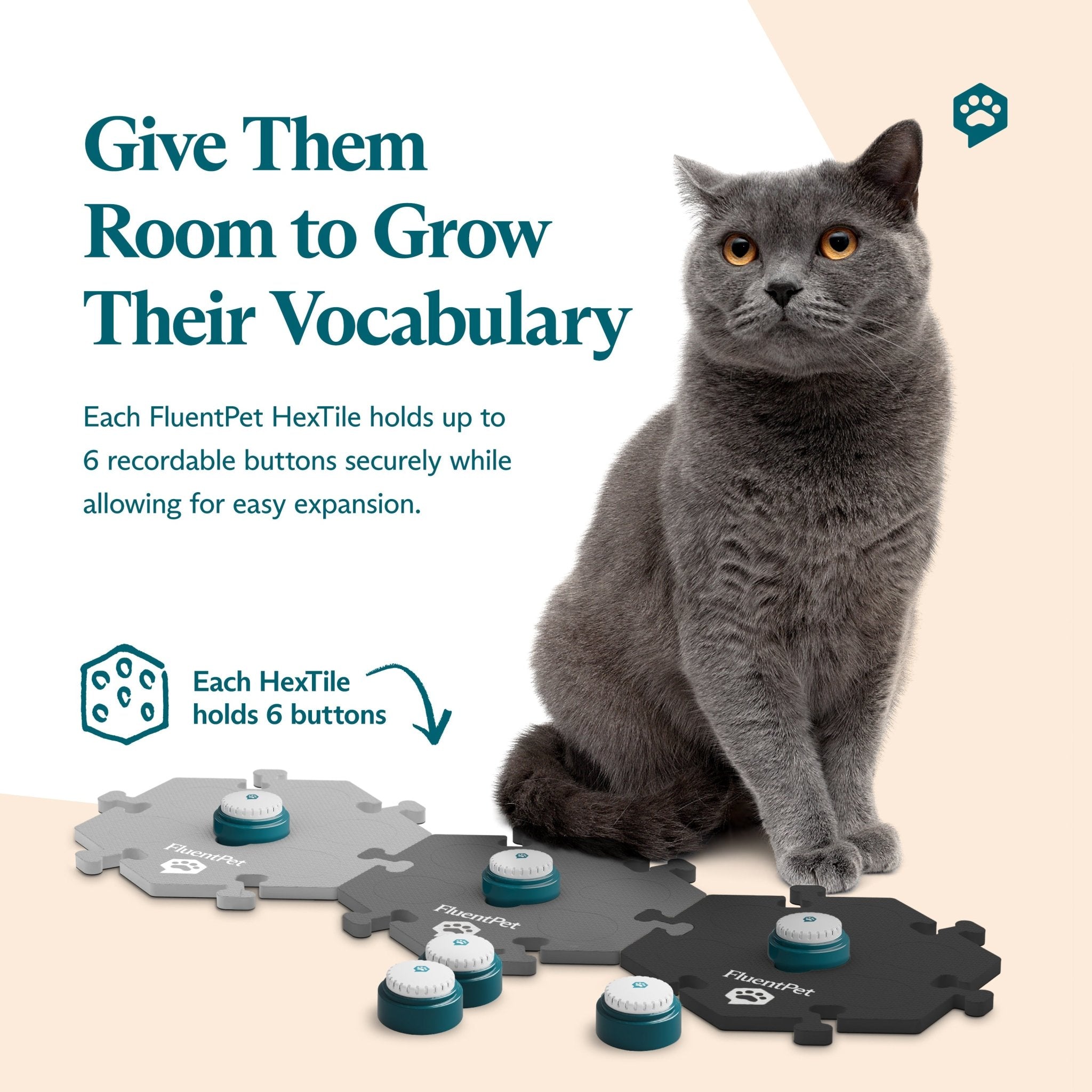 Gray cat sitting beside FluentPet HexTiles in light grey, dark grey and black, each holding Speak Up! recordable buttons. Text reads “Give Them room to Grow Their Vocabulary".
