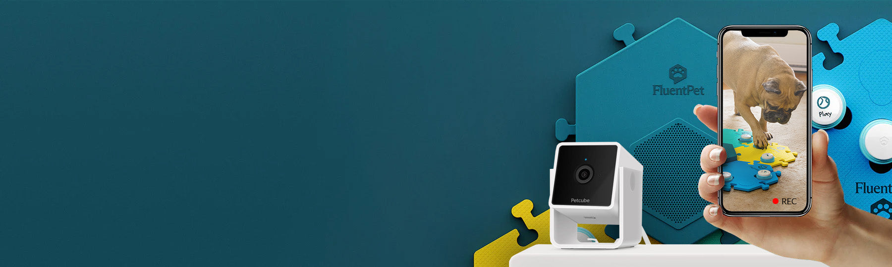 Connect X PetCube