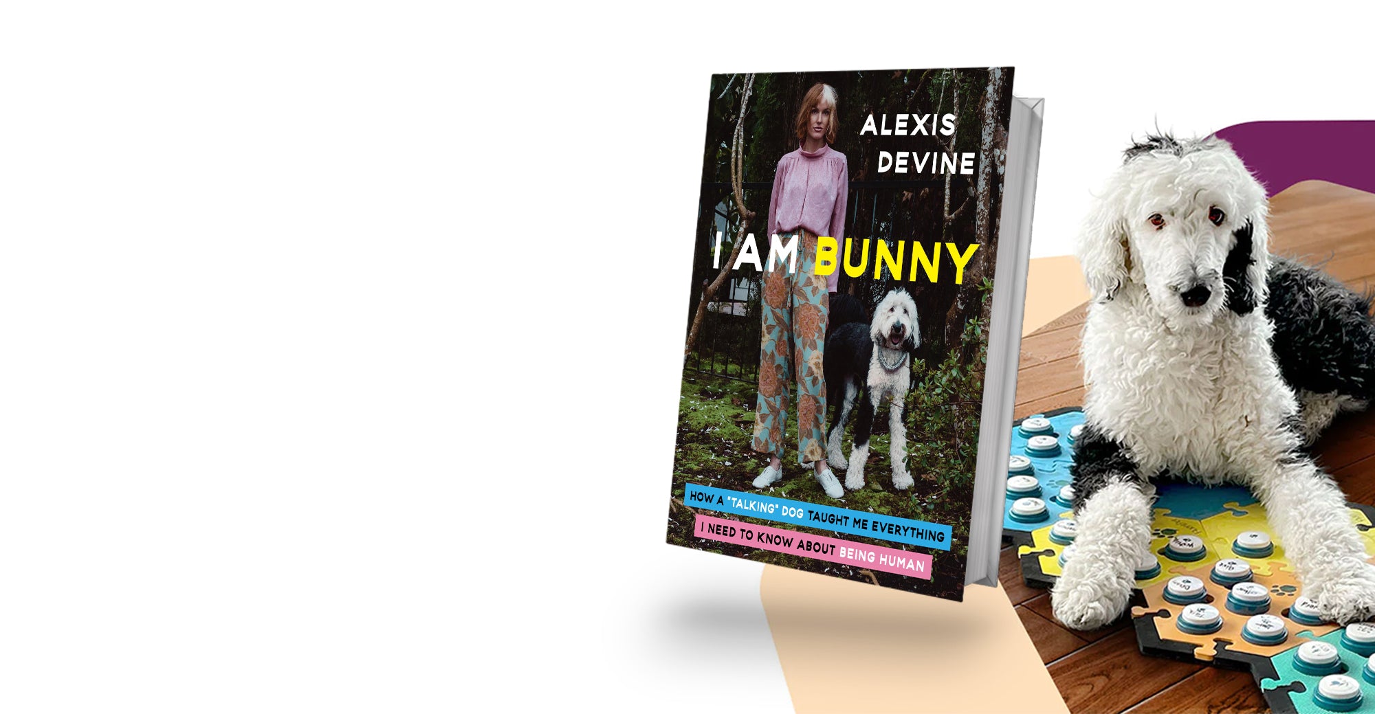 Discover Bunny's Amazing Journey