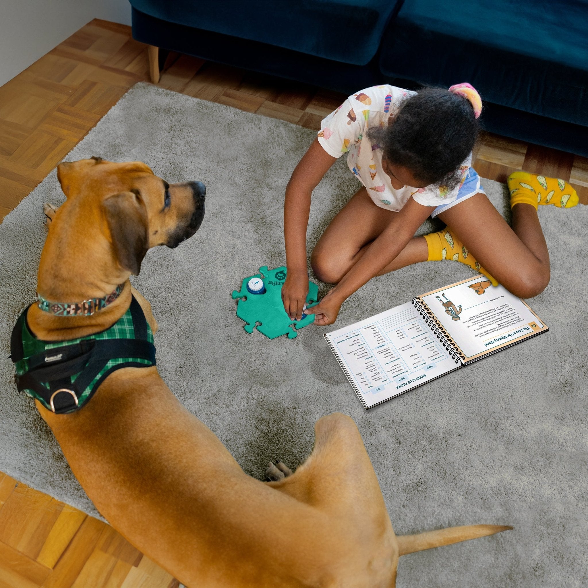 A young girl teaching her dog to talk, using the FluentPet Junior Teacher Workbook.