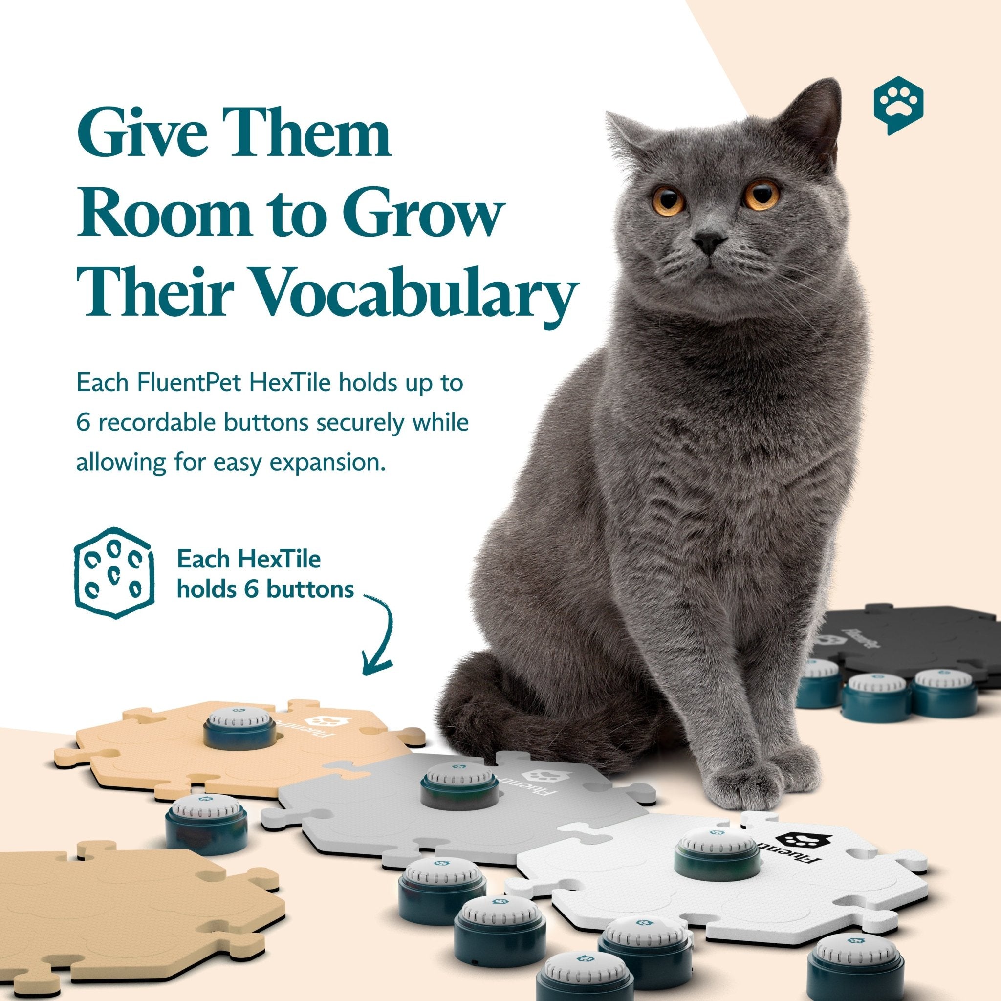 Gray cat sitting beside FluentPet Key Vocab Kit in neutral colors with Speak Up! recordable buttons. Text reads “Give Them room to Grow Their Vocabulary".