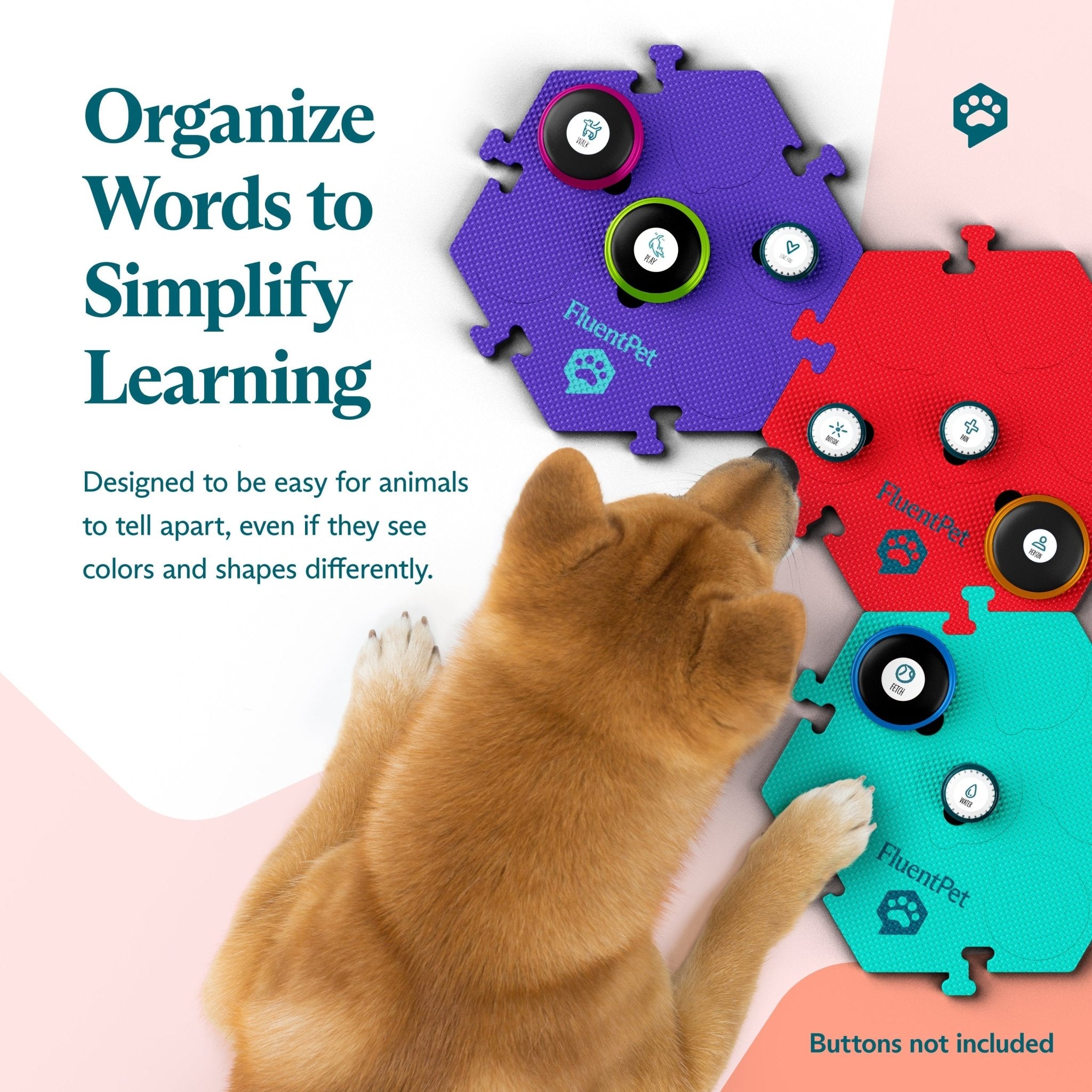 Top view of a dog interacting with a soundboard featuring cross-compatible HexTiles, Speak Up! recordable buttons and non-FluentPet buttons. Text reads: "Organize Words to Simplify Learning"