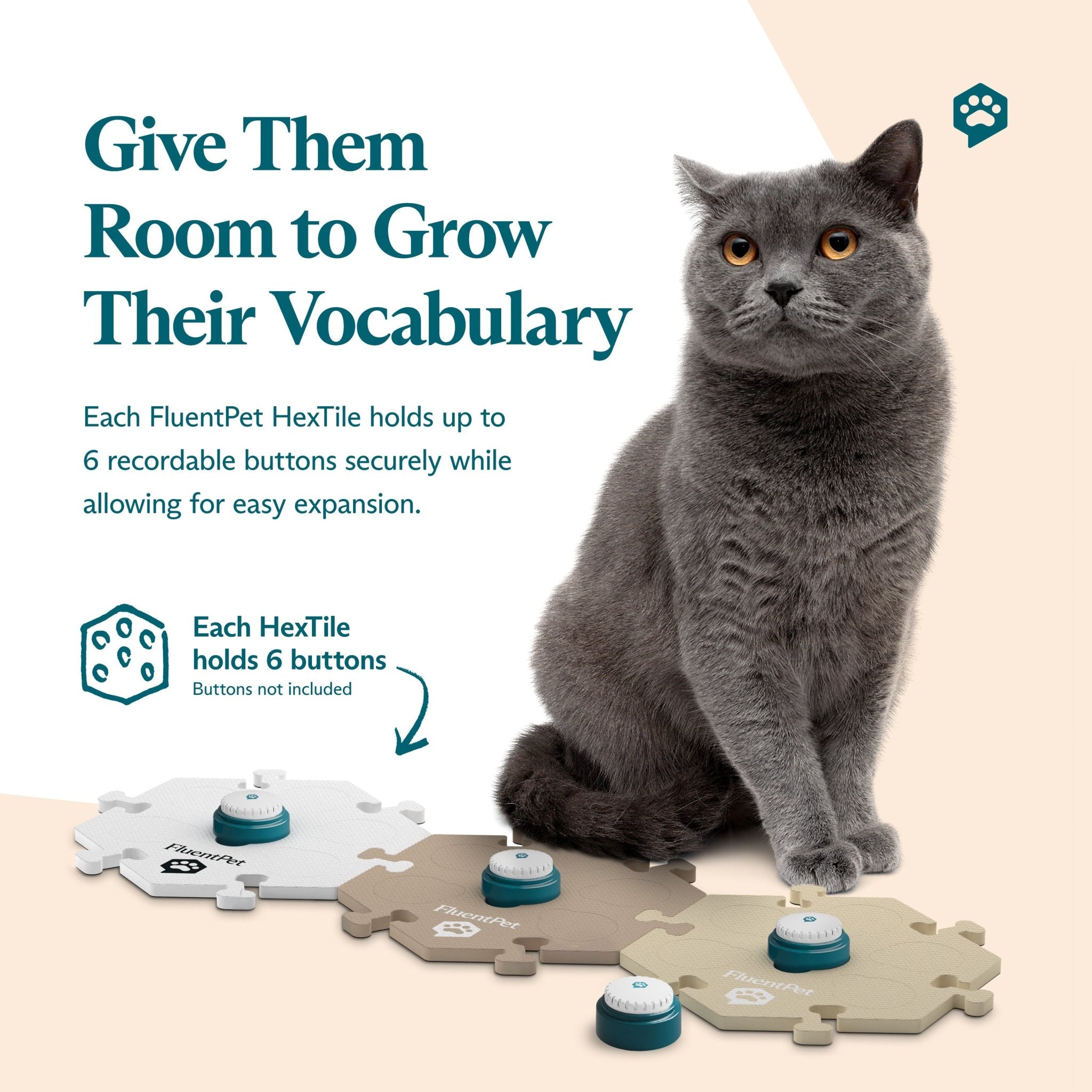 Gray cat sitting beside FluentPet HexTiles in white, dark beige and light beige, each holding recordable Speak Up! buttons from the FluentPet Speak Up! Get Started Kit. Text reads “Give Them Room to Grow Their Vocabulary".