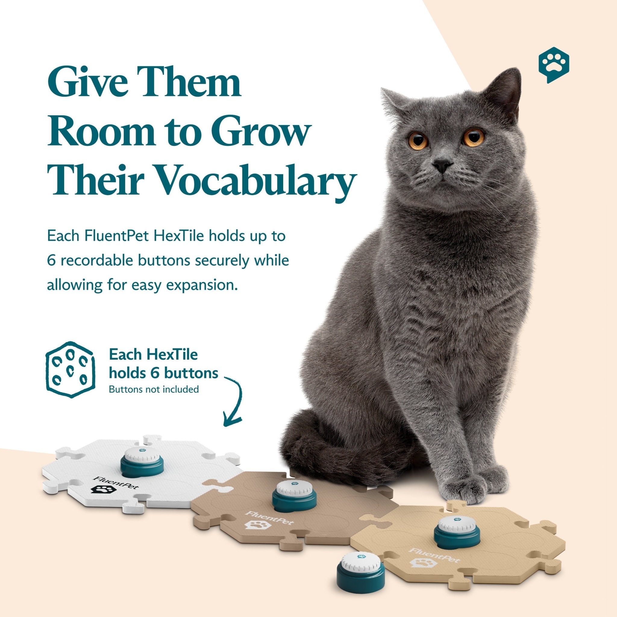 Gray cat sitting beside FluentPet HexTiles in white, dark beige and light beige, each holding recordable Speak Up! buttons from the FluentPet Speak Up! Get Started Kit. Text reads “Give Them Room to Grow Their Vocabulary".
