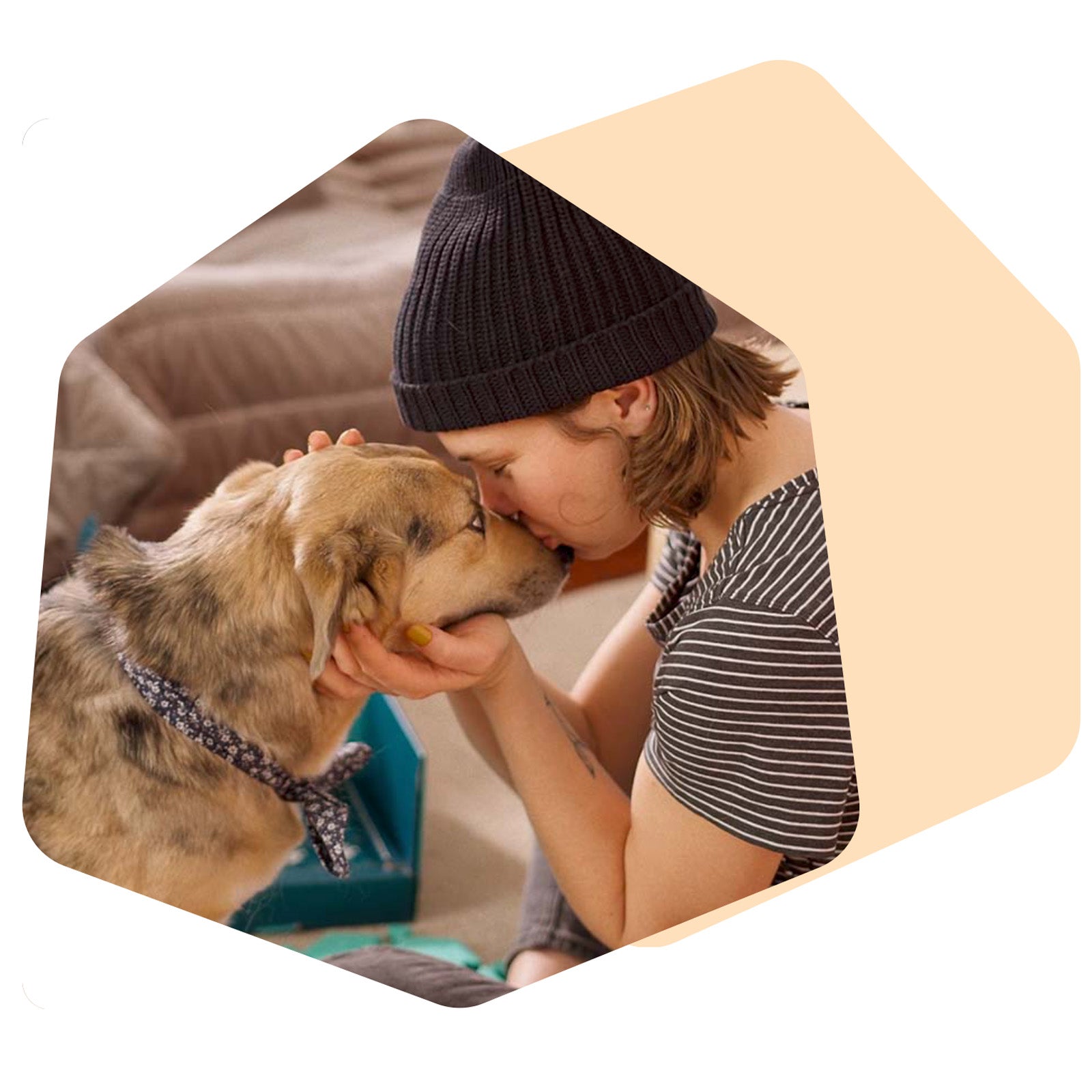 When your dog presses a button, respond appropriately to let them know you understand. This helps your dog learn which button means which word or action.