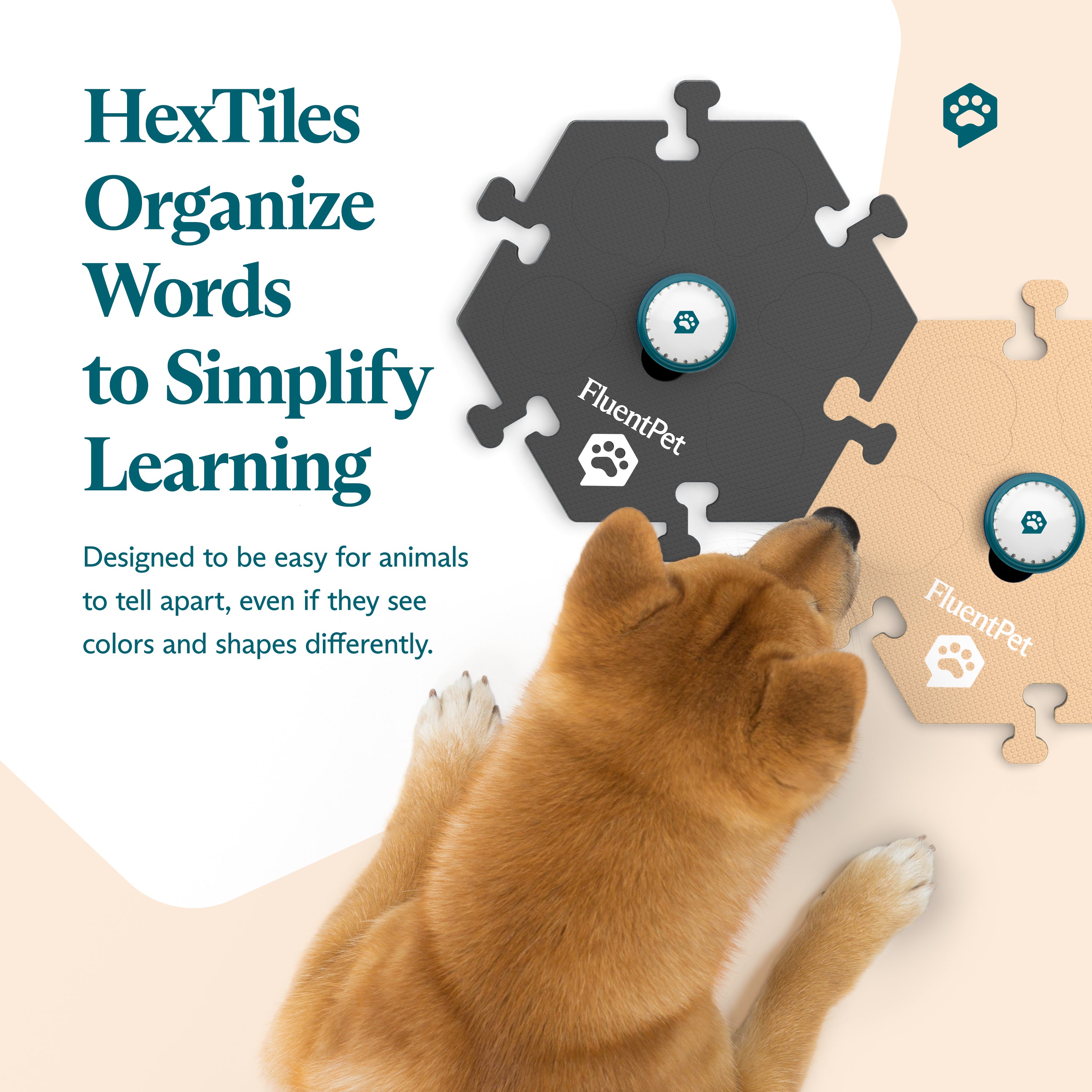 Top view of a dog interacting with the FluentPet Try It Kit with dark grey and light beige HexTiles. Text reads: "HexTiles Organize Words to Simplify Learning"