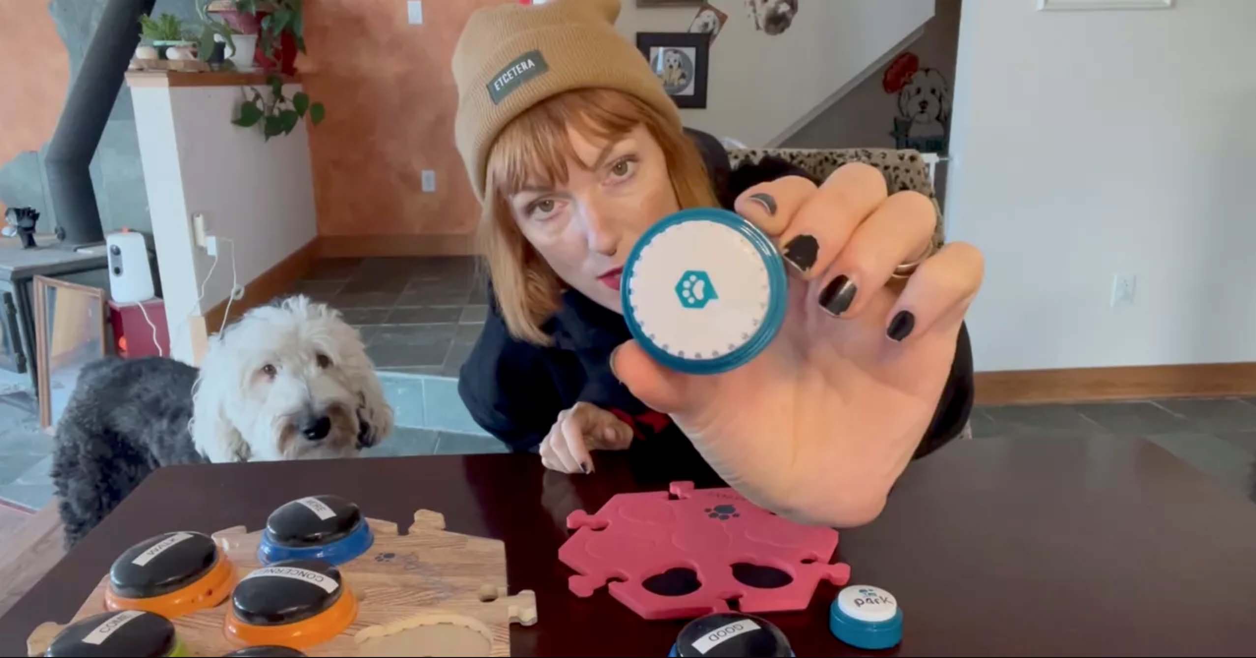 Speak Up vs. Learning Resources button comparison video