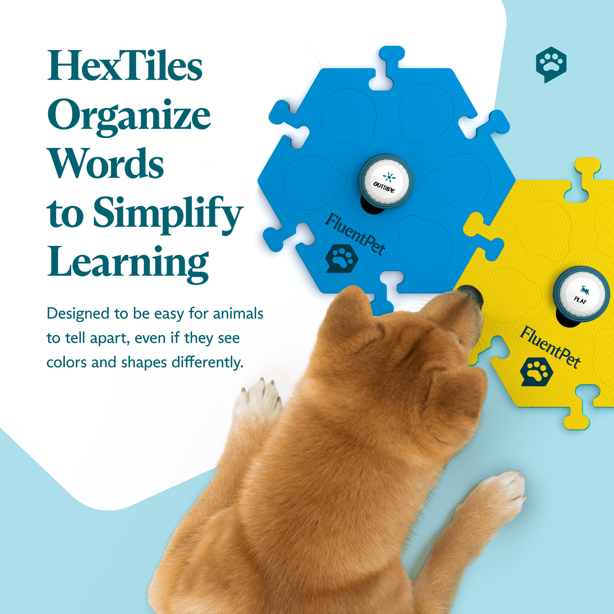 Top view of a dog interacting with the FluentPet Tester Kit with blue and yellow HexTiles. Text reads: "HexTiles Organize Words to Simplify Learning"