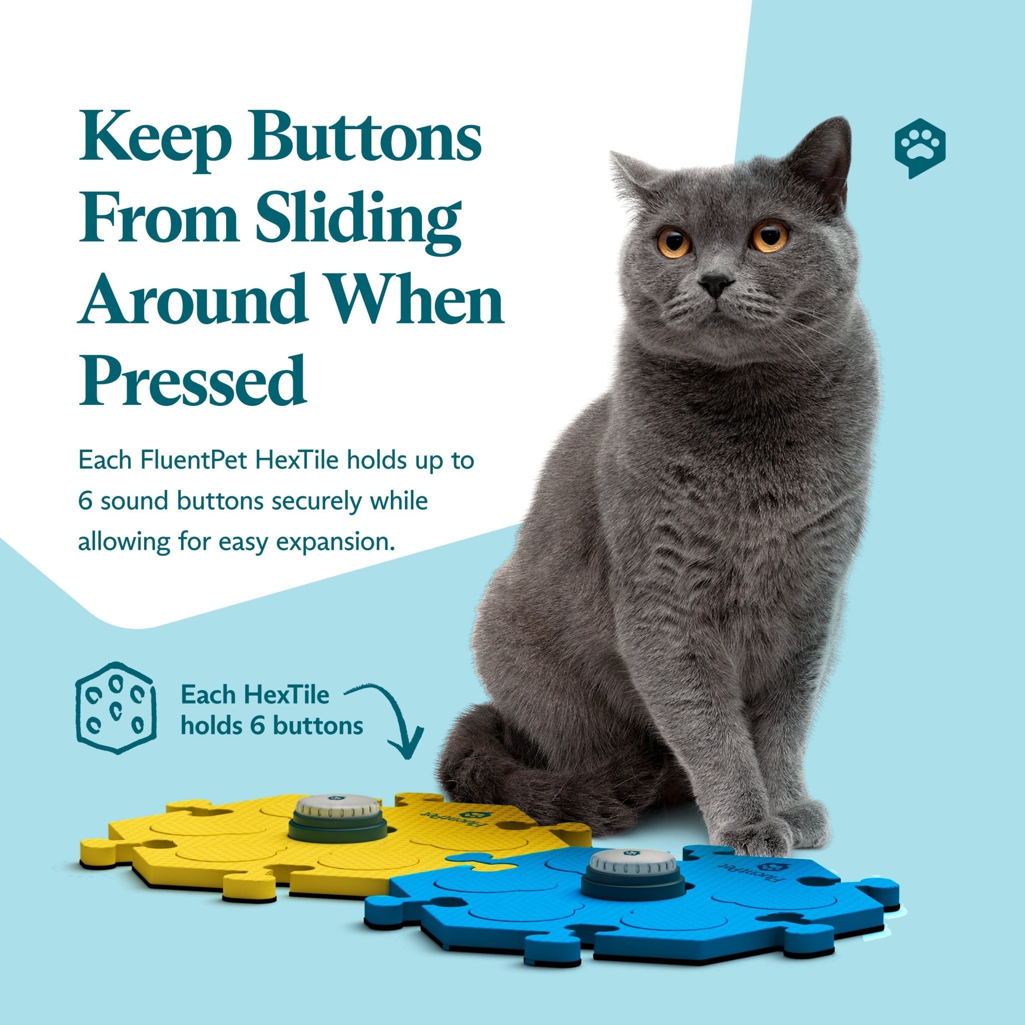 Tester Kit Bold