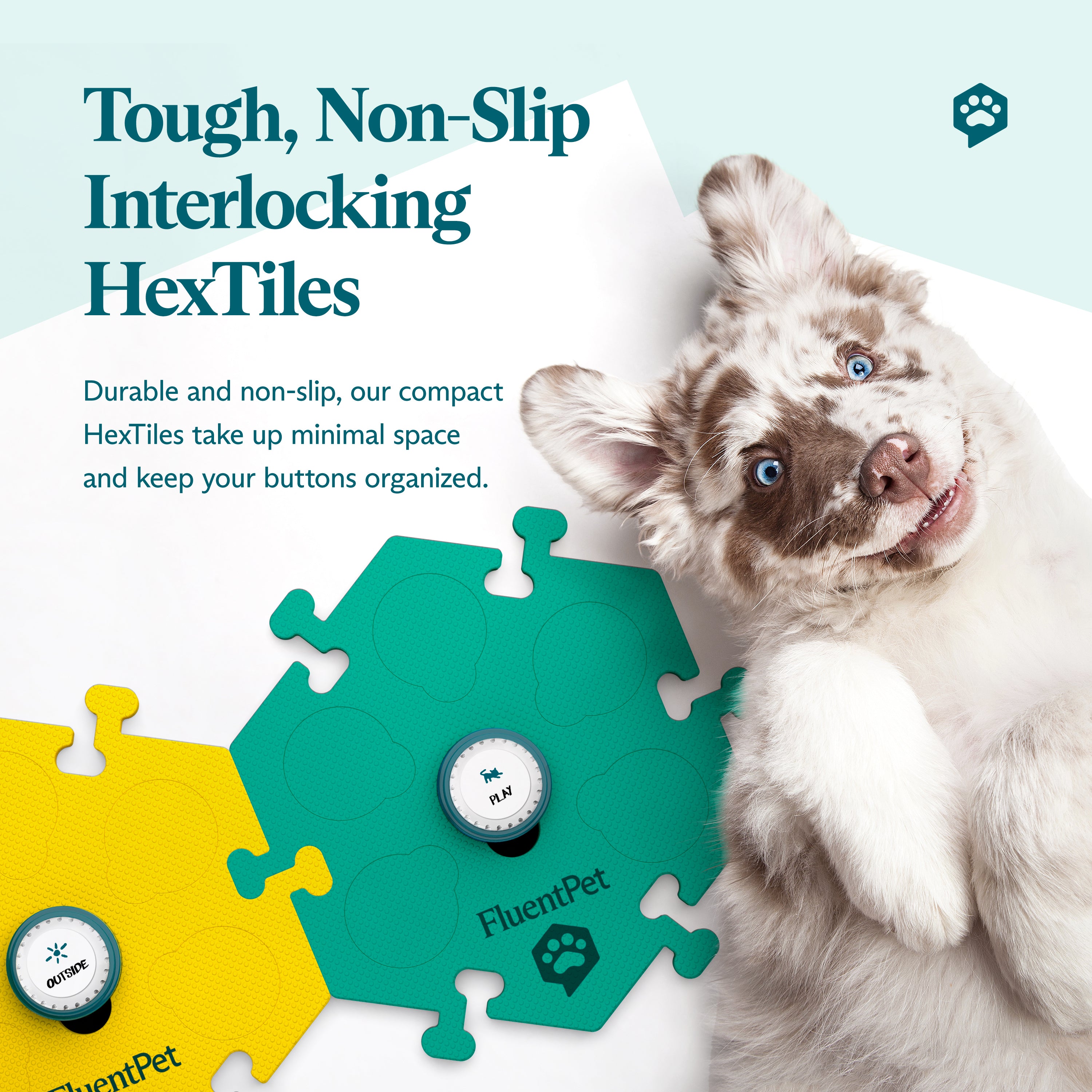 FluentPet Tester Kit Bold with green and yellow HexTiles and two Speak Up! Buttons