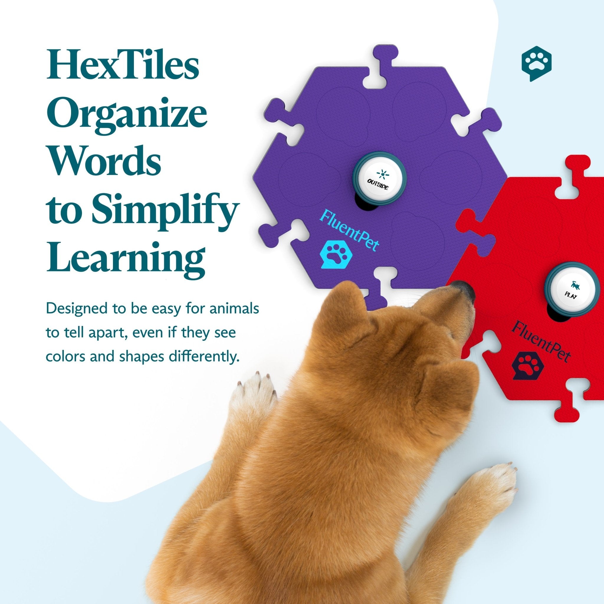 Top view of a dog interacting with the FluentPet Tester Kit with red and purple HexTiles. Text reads: "HexTiles Organize Words to Simplify Learning"