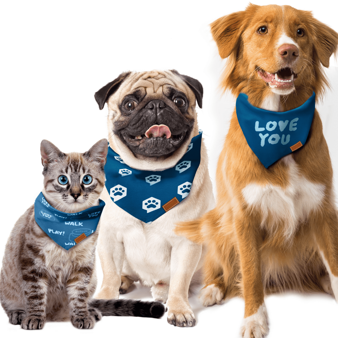 Three dogs wearing FluentPet bandanas