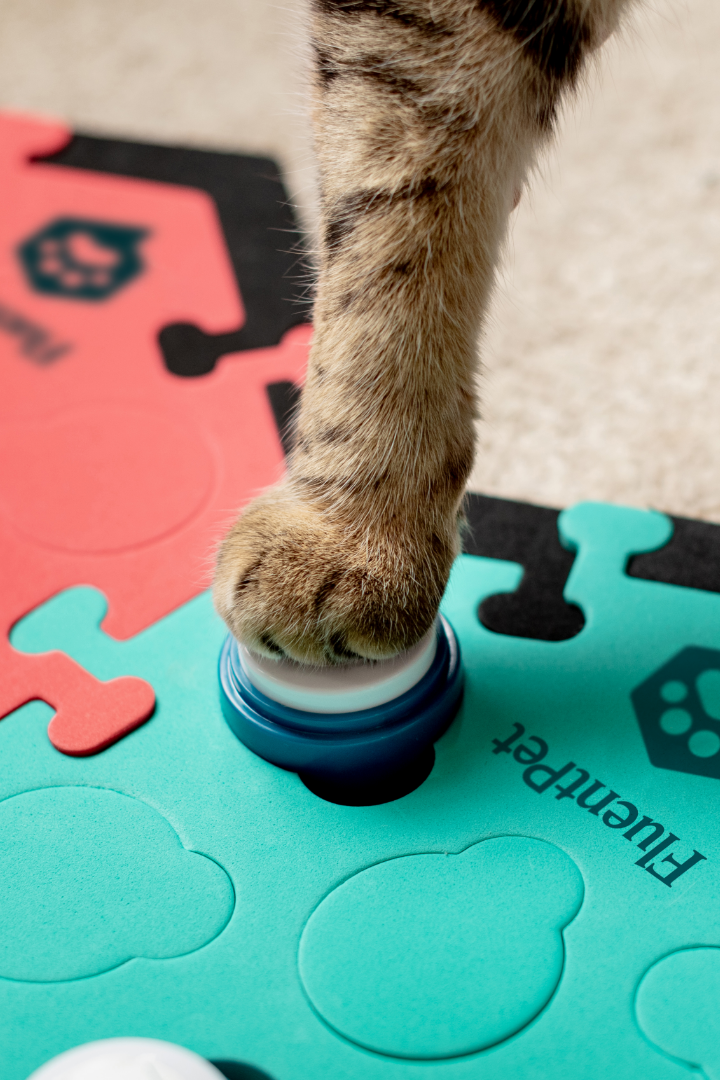 A cat paw pressing a FluentPet button.