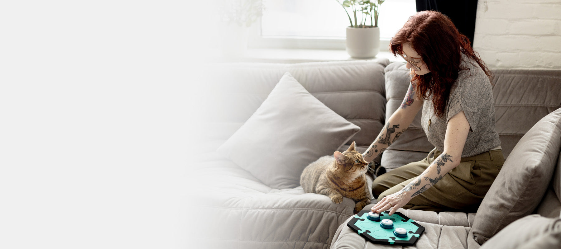Find out what your cat wants and needs with recordable talking buttons.